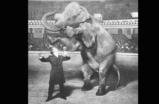 Illustration for article titled The Secrets Behind Harry Houdini’s Ten Greatest Illusions